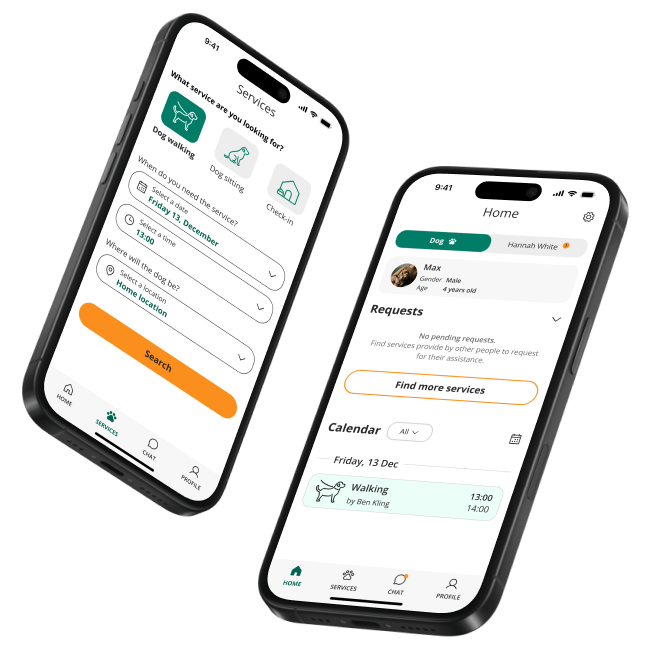 Waggle case study preview