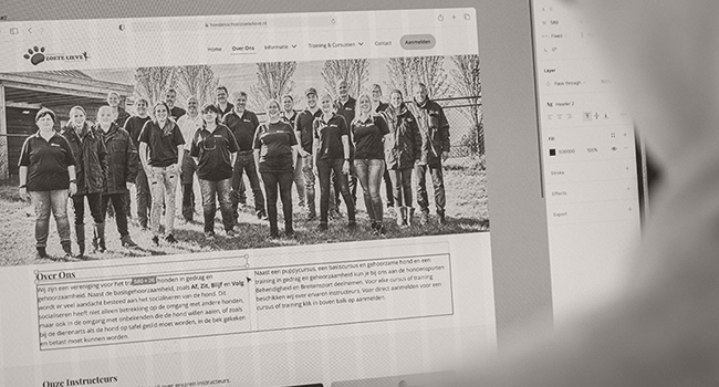 MixelDesign Copyright